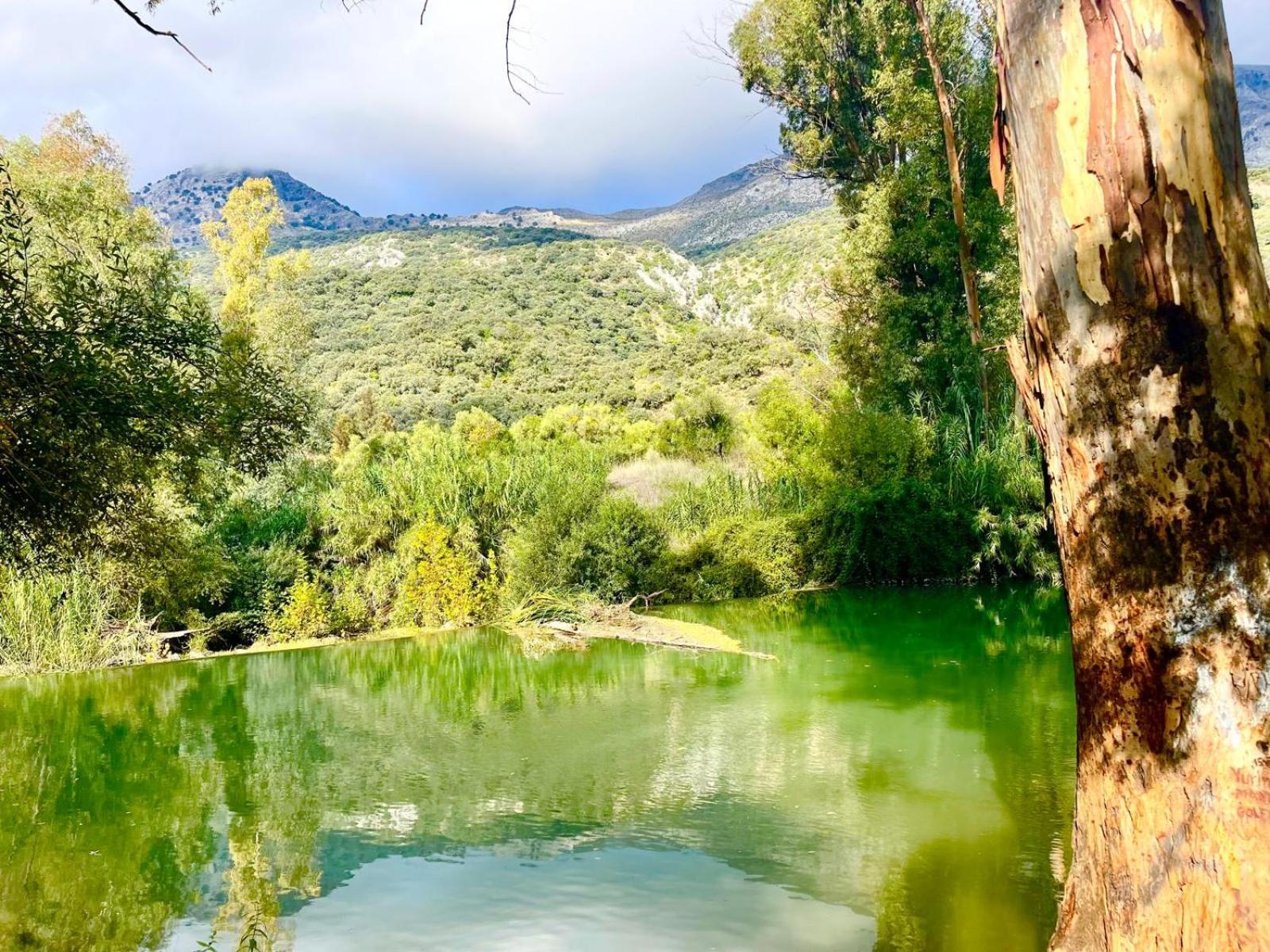 Villa Casa El Cerro Cortes de la Frontera Esterno foto